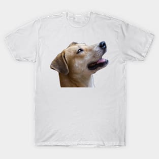 i love dog T-Shirt